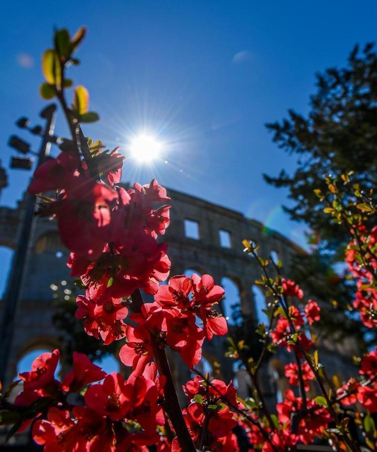 Villa Ulika - 3 Apt For 4 Persons PUY 외부 사진